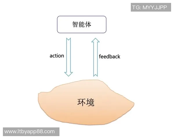 武汉排球队的转型之路与未来发展趋势深度解析